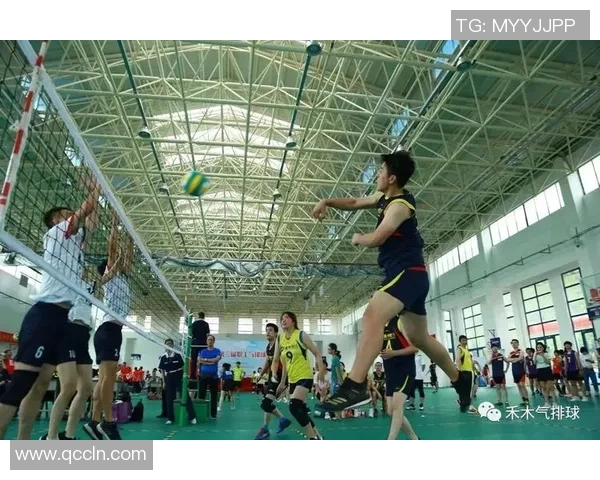 上海排球队的速度之谜:揭秘排球巨献背后的训练与激情 上海排球队的速度之谜:揭秘排球巨献背后的训练与激情