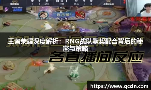 王者荣耀深度解析：RNG战队默契配合背后的秘密与策略